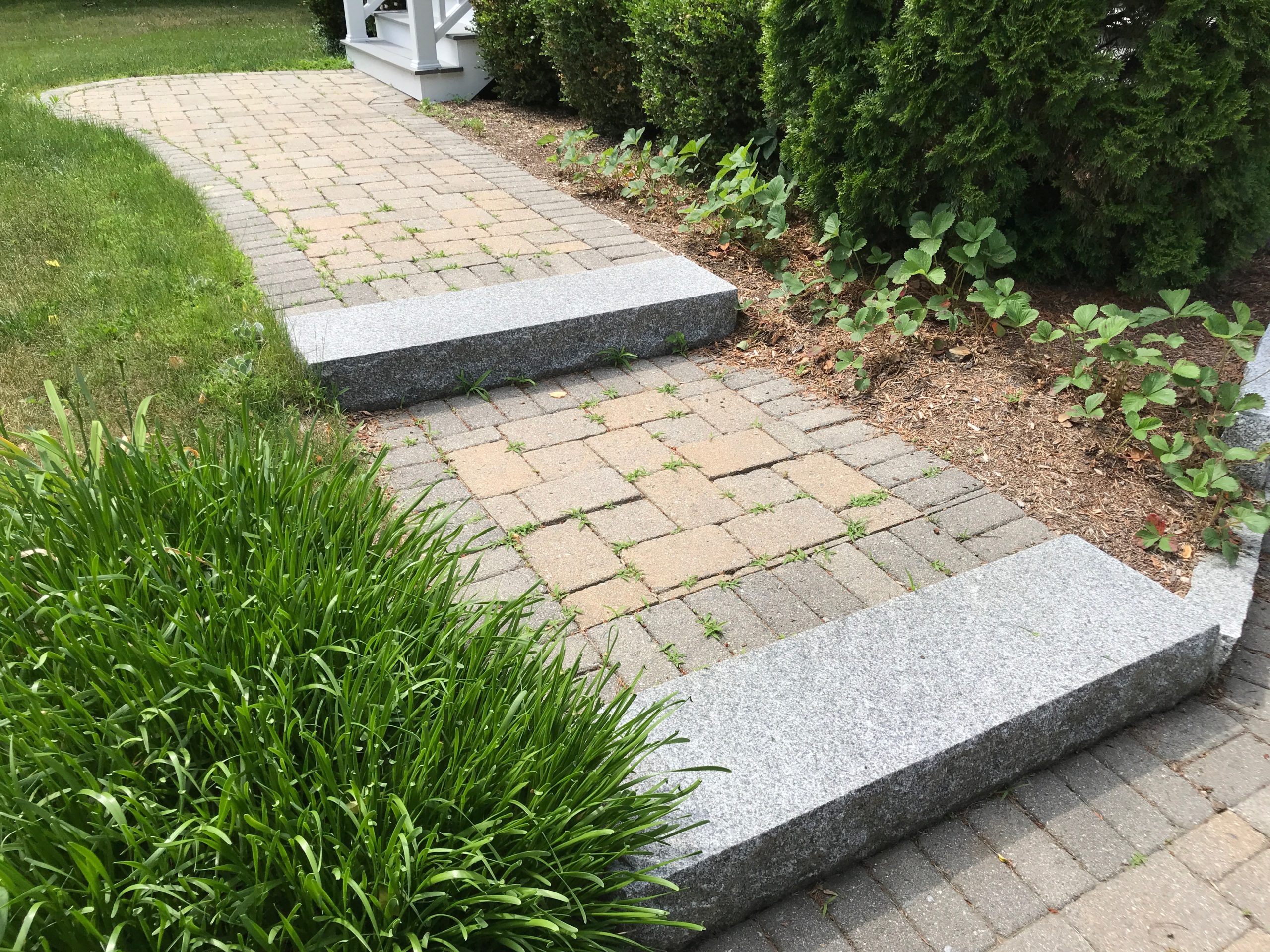 paver